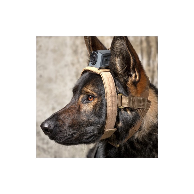 MOHOC K9 Head Harness Tan